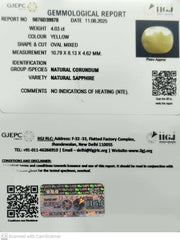 4.03/CT Natural Yellow Sapphire With Govt Lab Certificate (1221)